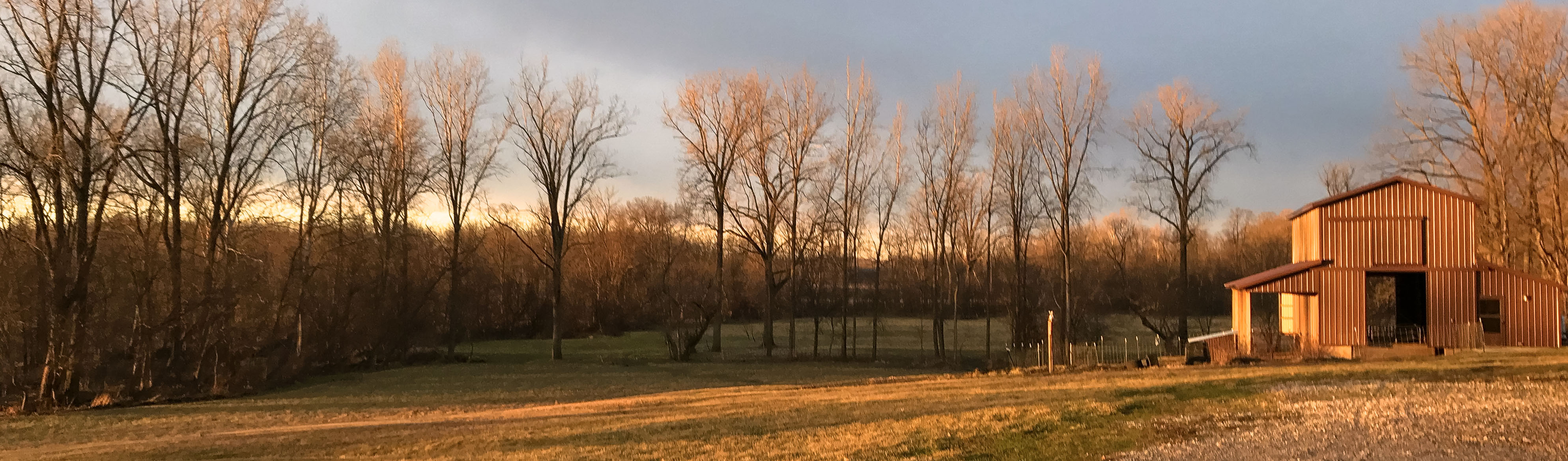 Sunset Barn farm image - seasonal